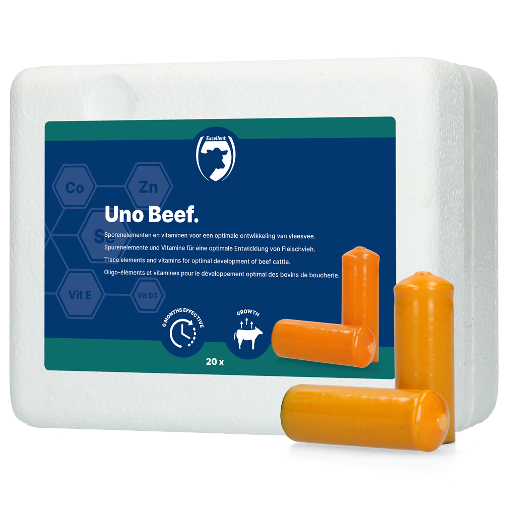 Excellent Uno Beef