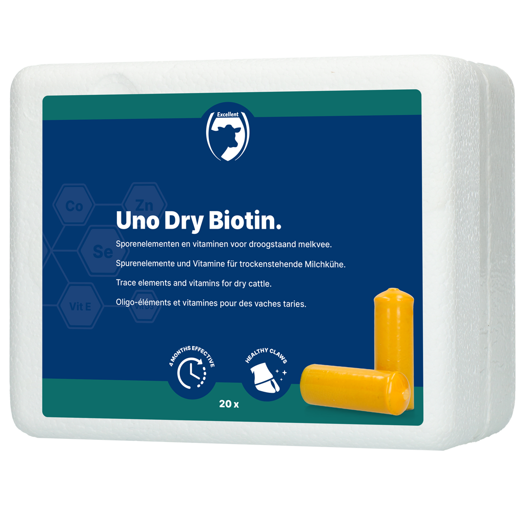 Excellent Uno Dry Biotin