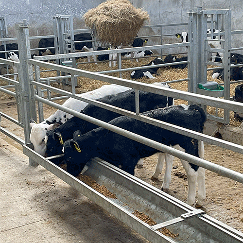 Clip-on Calf Feed Trough