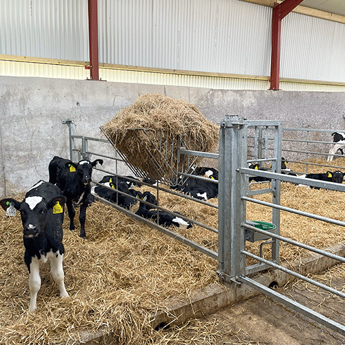 Saddle Hayrack (Wall mounted)