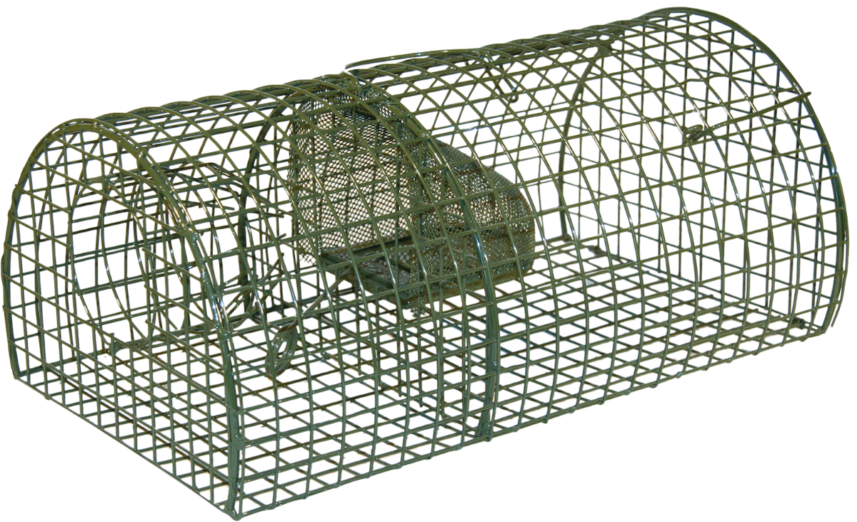 Wire Cage Rat Trap Alive Massa