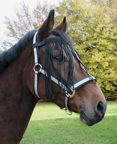 Fly Fringe Strap Full