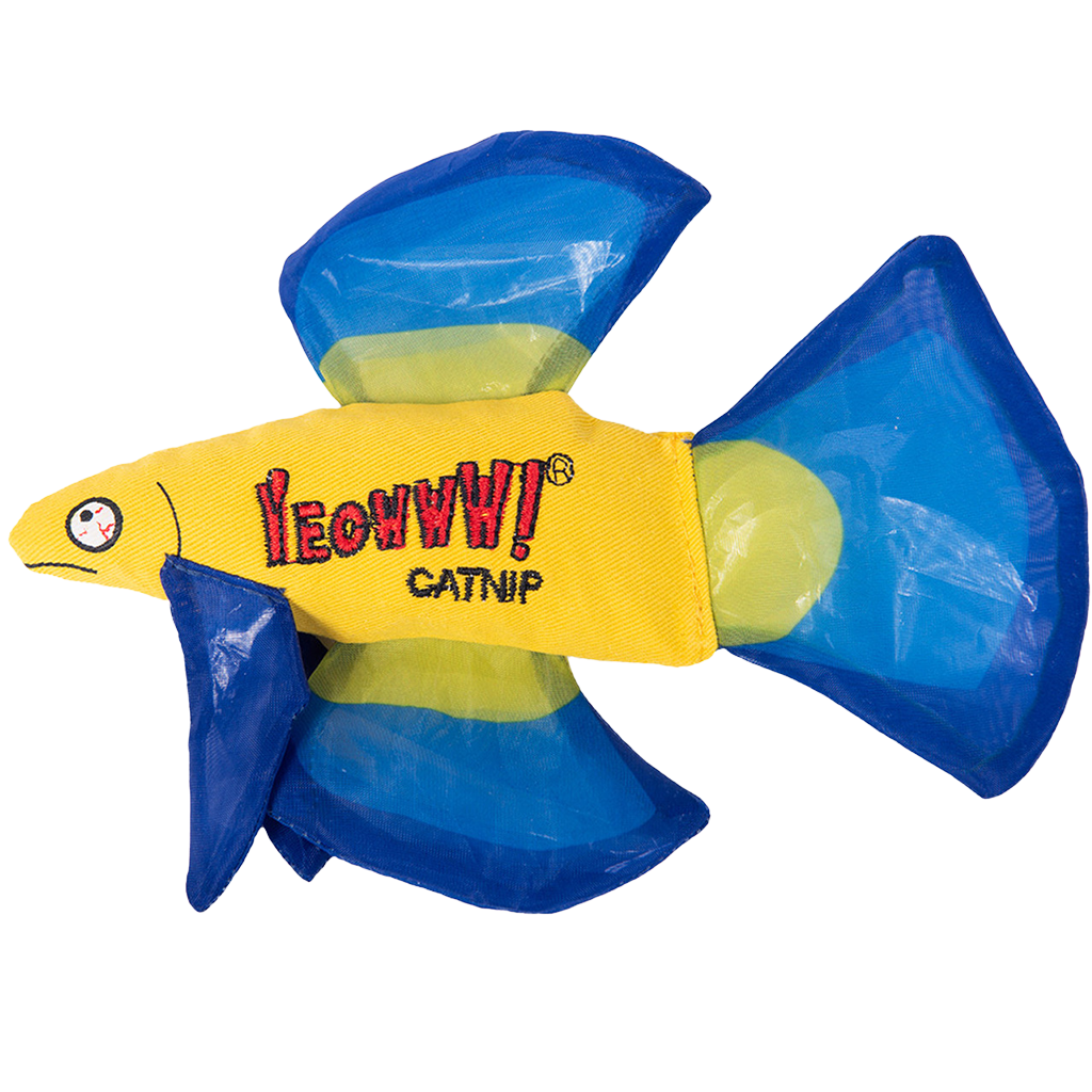 Yeowww! Mo Betta Fish