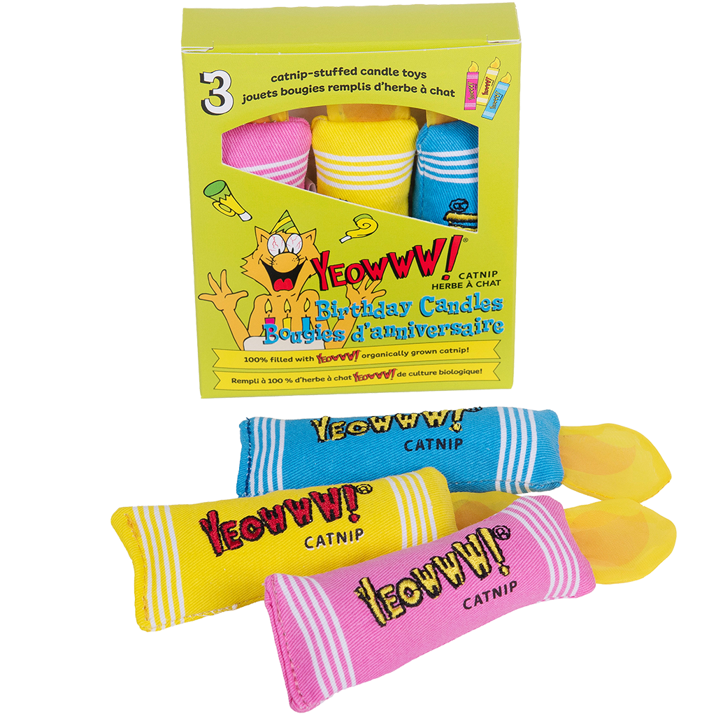 Yeowww! Birthday Candles 3 pcs