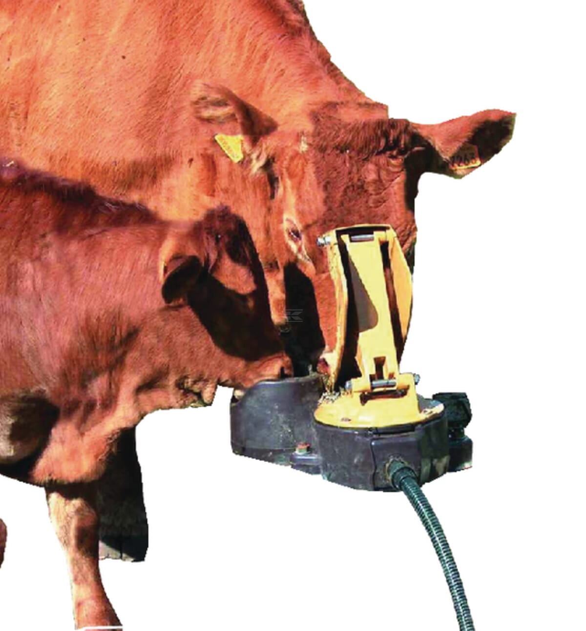 LA BUVETTE Membrane Pasture Pump aquamat N.C. for Nursing Cows