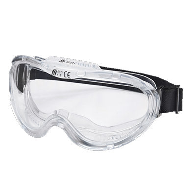 Clear Ski Goggle