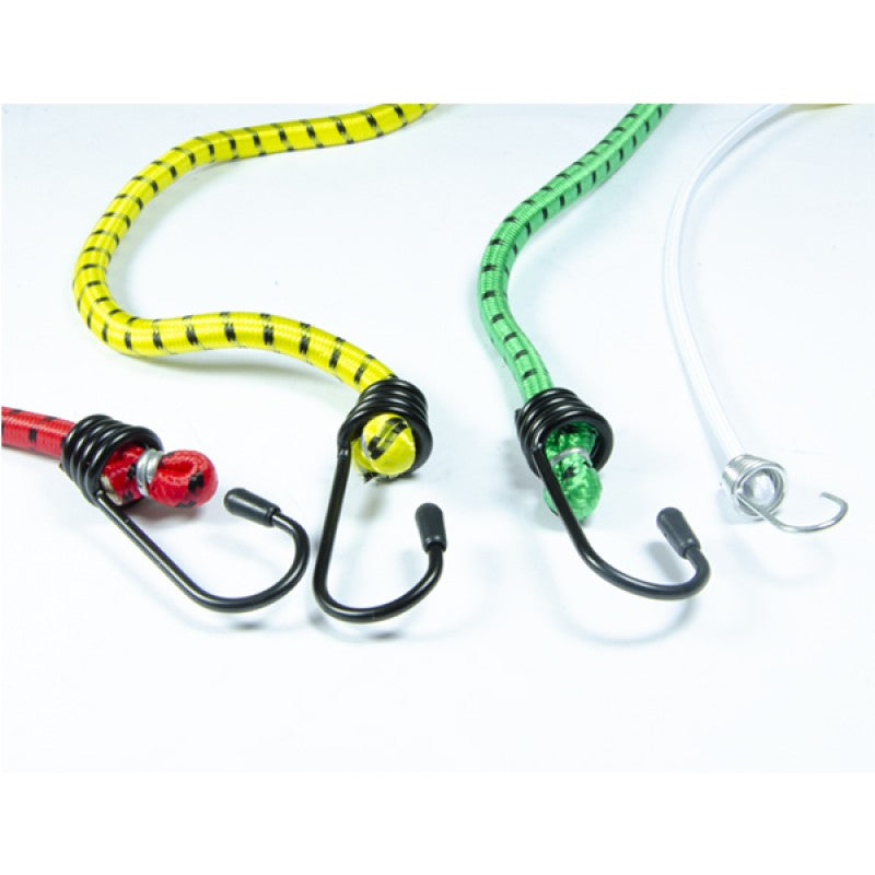 Jefferson Assorted Elastic Straps