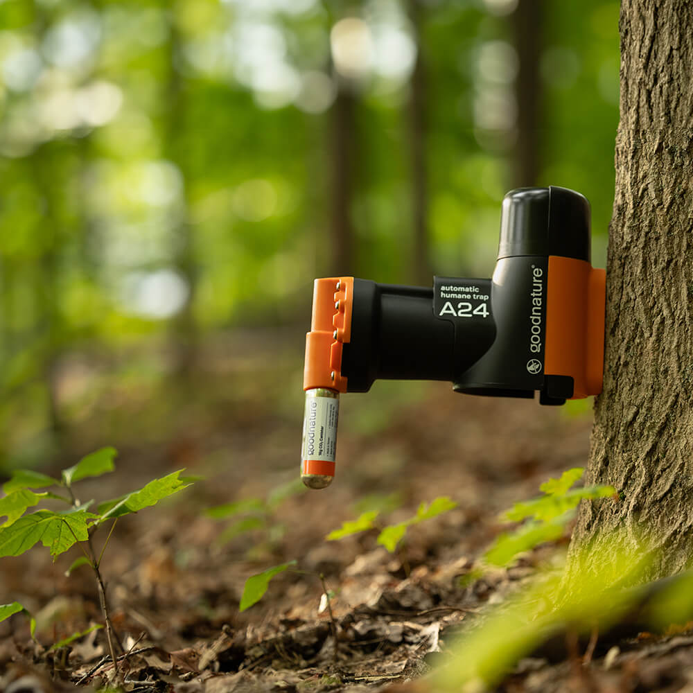 Goodnature | A24 Automatic Multi-Kill Trap For Rats NON Smart