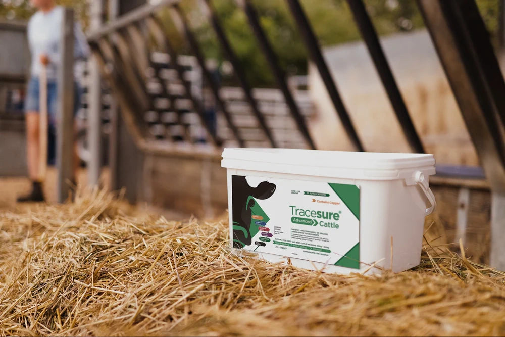 Tracesure Cattle bolus