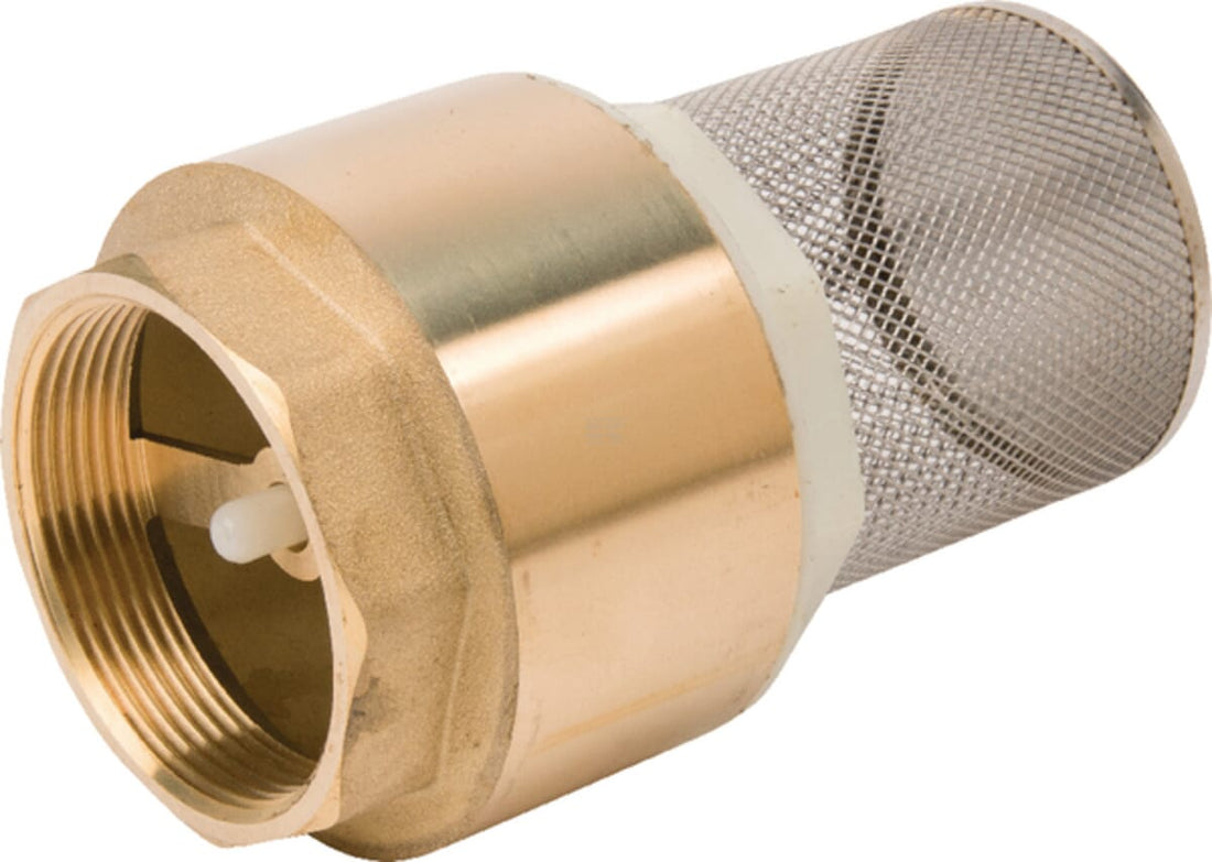 Non returnable foot valve with S.S. screen