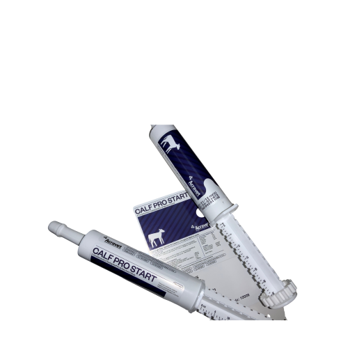 CALF PRO START SYRINGE 30GRM