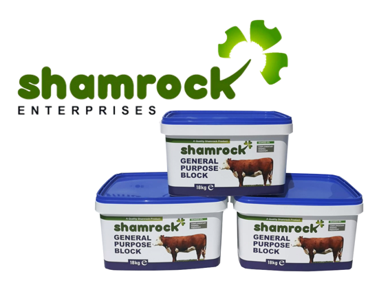 Shamrock General Purpose Block