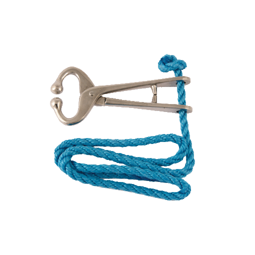 Bullholder with rope