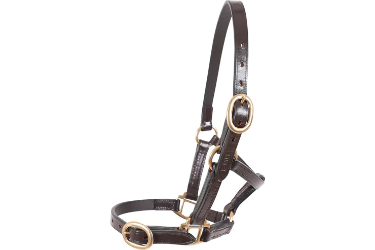 Headcollar: Sales Premium Leather