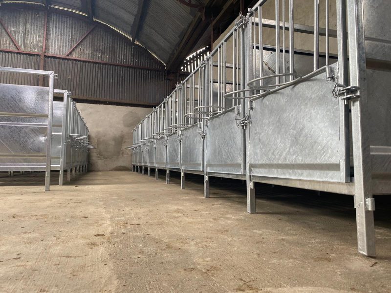 INDIVIDUAL CALF PEN