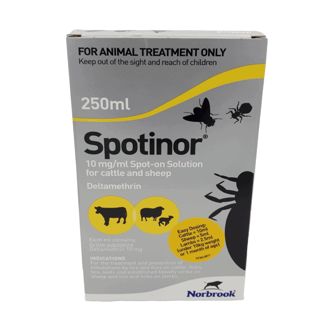 Spotinor
