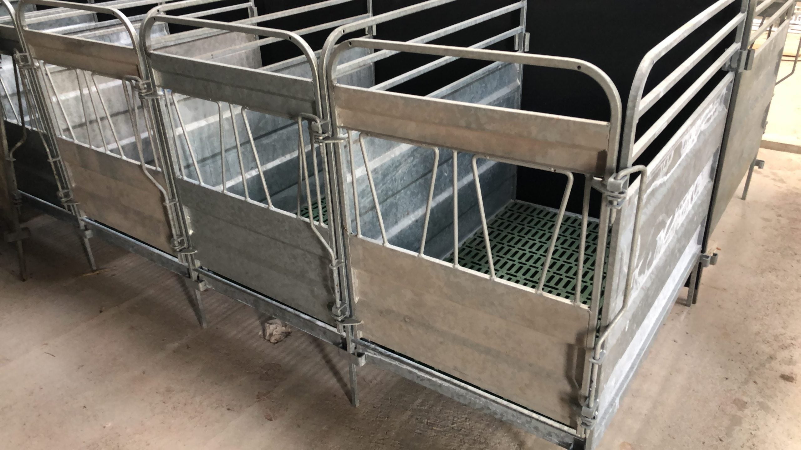 Calf Pens