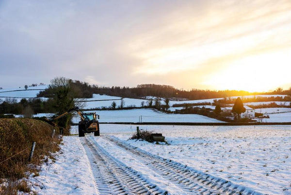 Winter Jobs to be getting on with