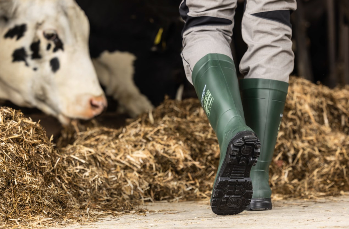Preparing Dairy Cows for Winter Housing