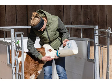 Essential Jobs for Calving Season