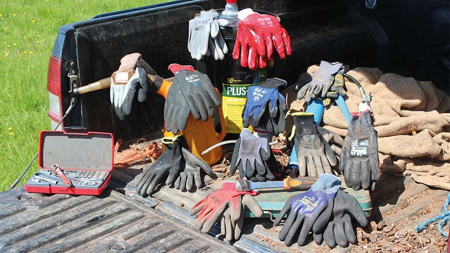Gloves (old)