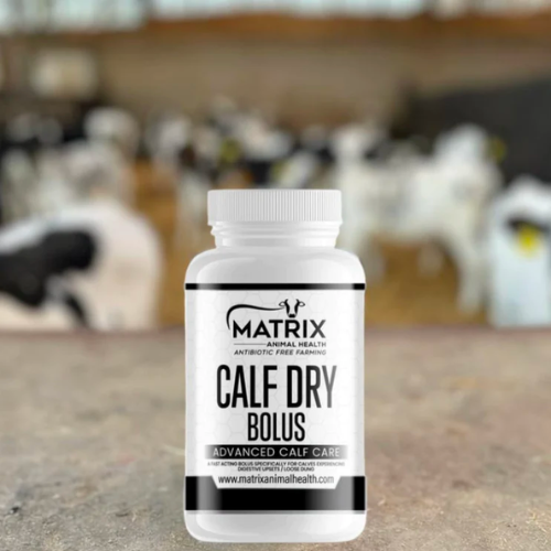 Animal Health