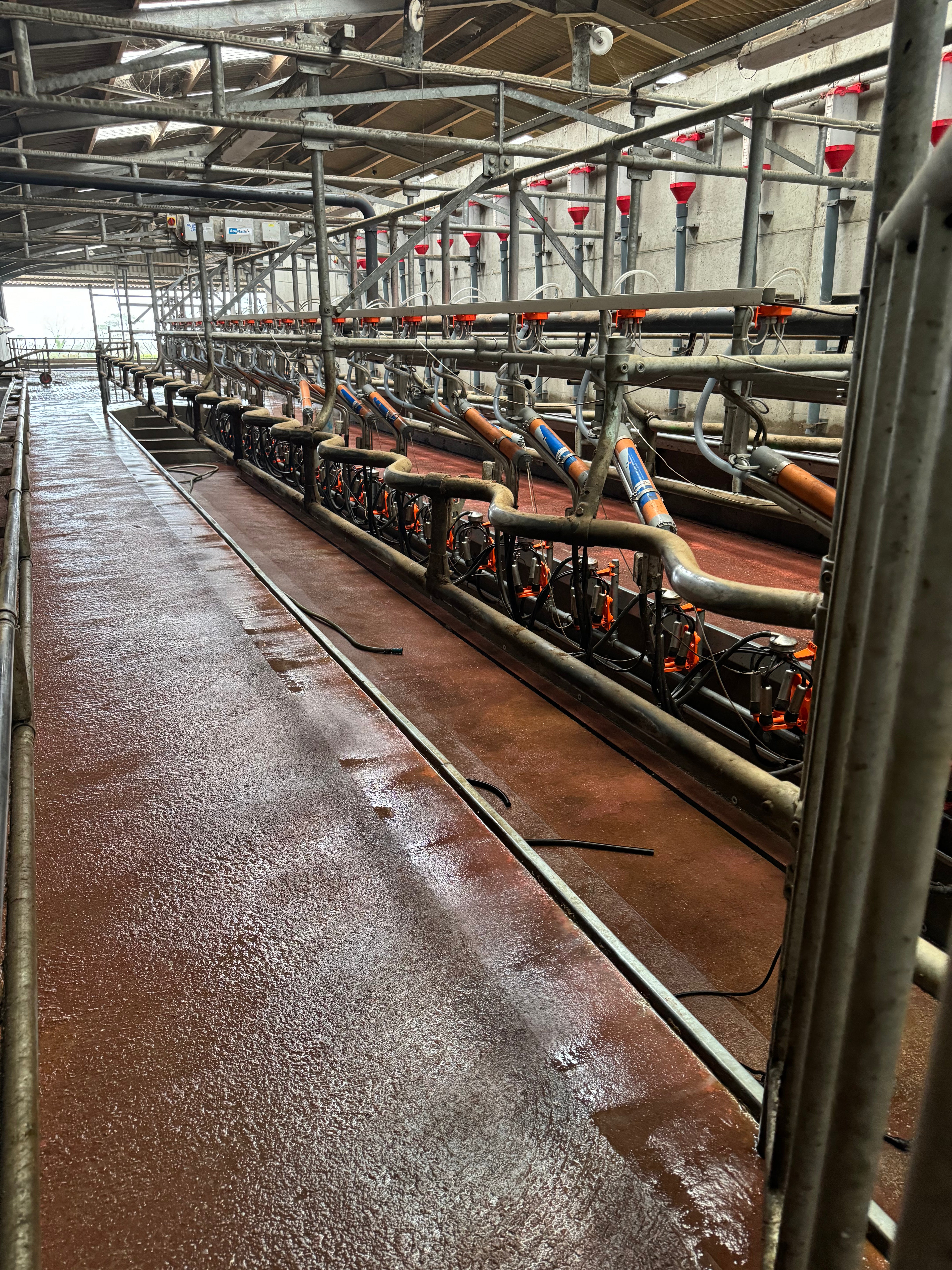 Dairy Hygiene