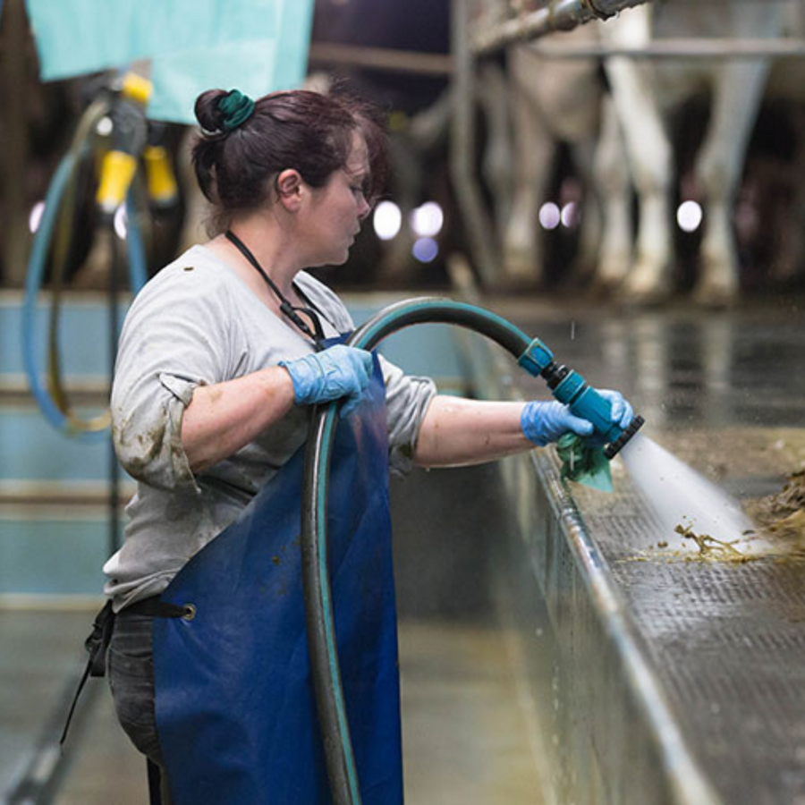Dairy & Parlour