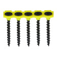 Timco Collated Drywall Screws - Coarse Thread
