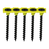 Timco Collated Drywall Screws - Coarse Thread