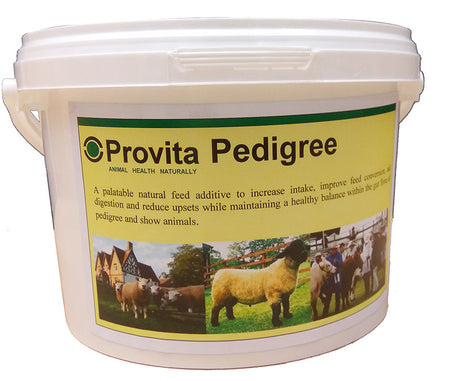 Provita Pedigree