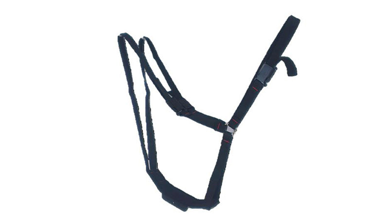 Super Economy Leather Ram Harness