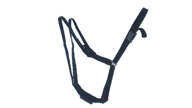 Super Economy Leather Ram Harness