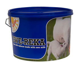 Ewe Reka