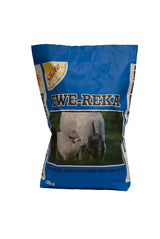 Ewe Reka