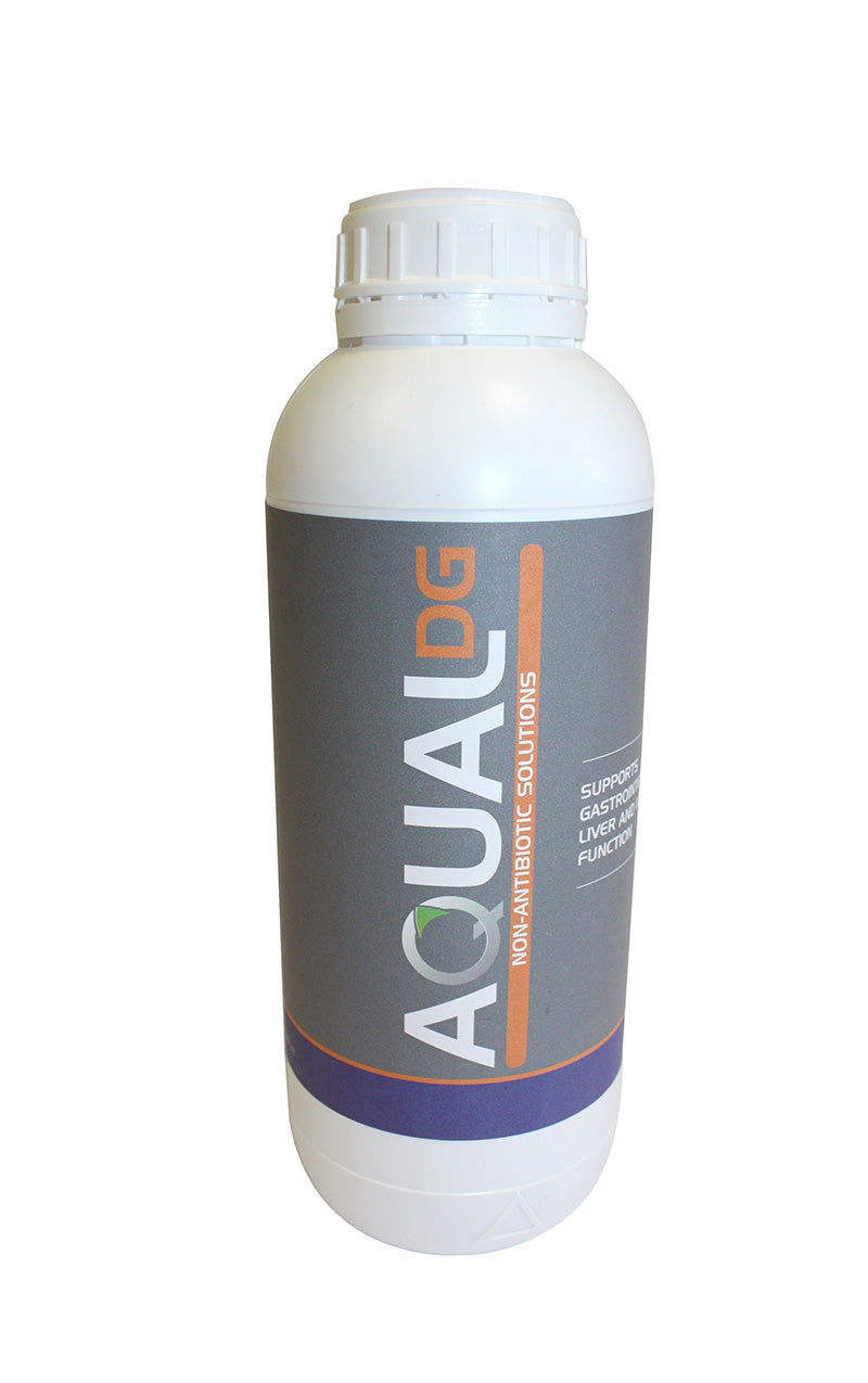 Aqual DG - 1lt