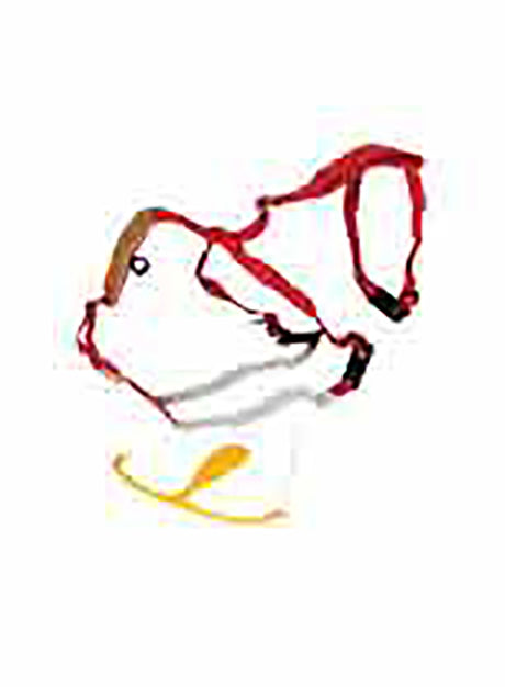 Super Prolapse Harness - Red