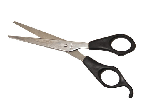 Economy Scissors