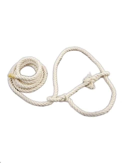 Sheep Cotton Halter