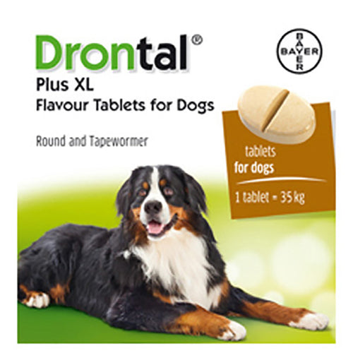 Drontal Tasty XL Dog - 48 Pack