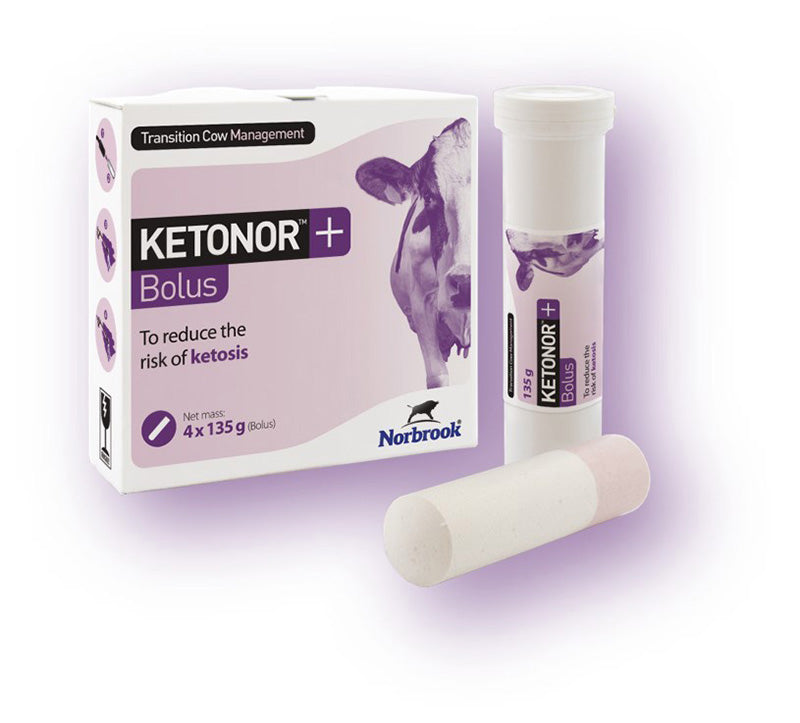 Ketonor - 135g x 5