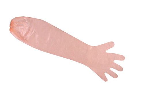 Armlength Gloves with Elastic Cuff