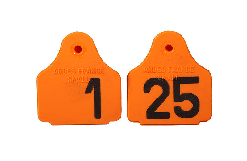 Eartag Back