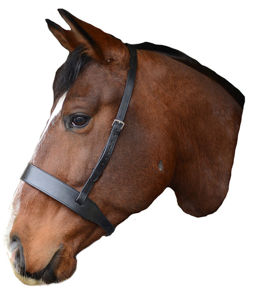 Mackey Classic Wide Flat Cavesson Noseband