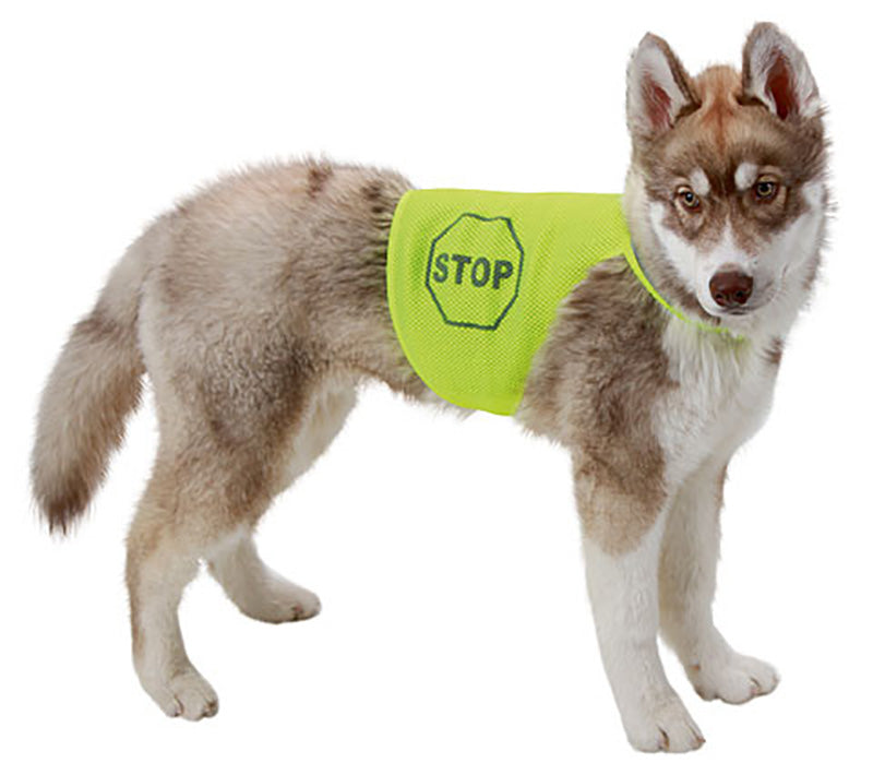 Safety Vest - 45cm - Neo Yellow