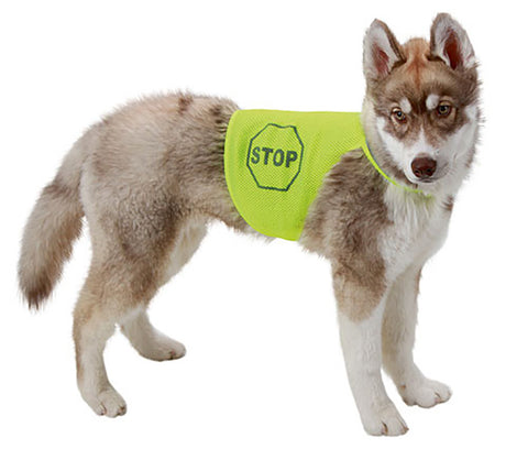 Safety Vest - 45cm - Neo Yellow