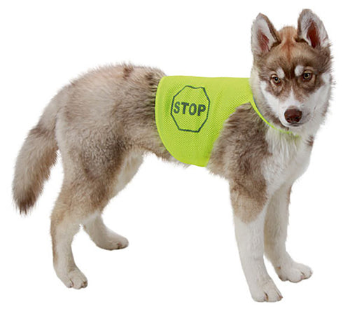 Safety Vest - 45cm - Neo Yellow