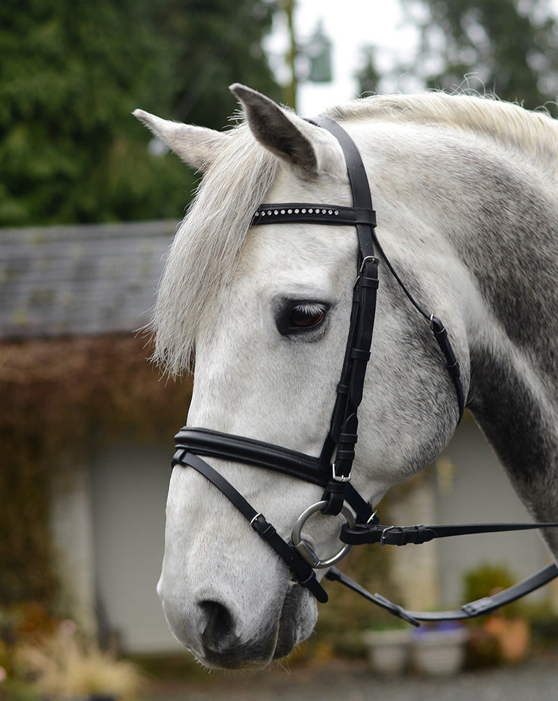 Equi-Sential Bling Bridle