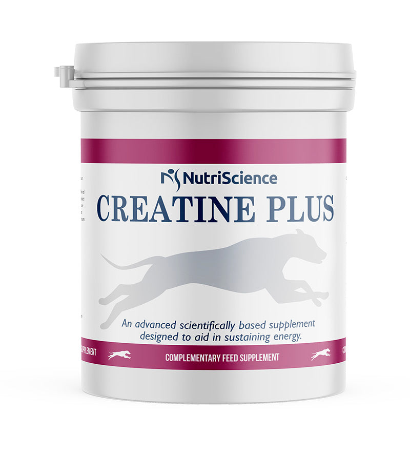 Creatine Plus