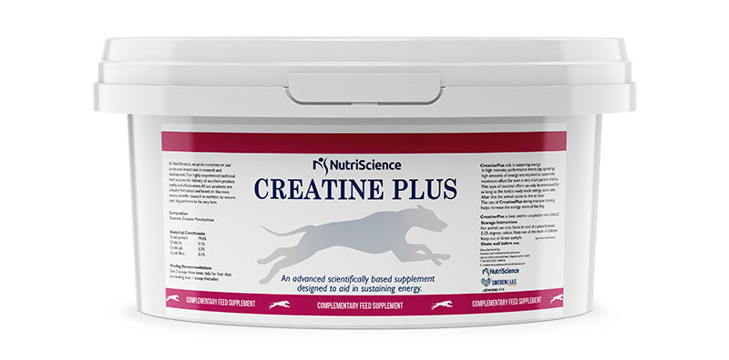 Creatine Plus